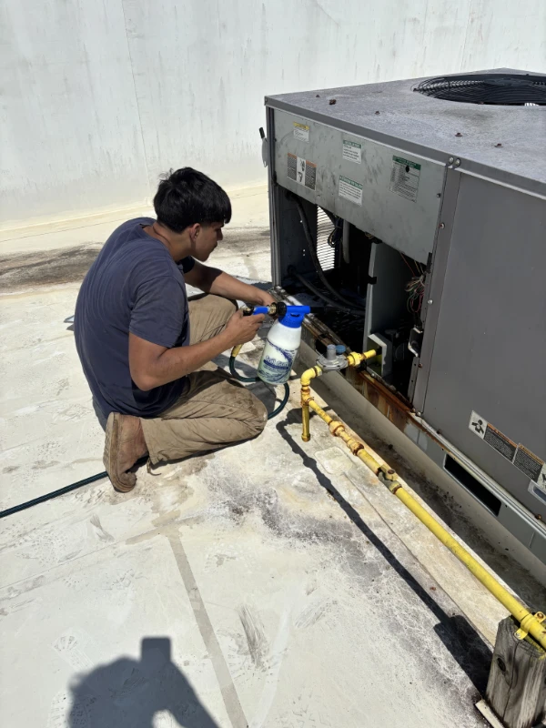 2a8275e28bb6ac412451f6c15dd1267c8d228e7b (1)